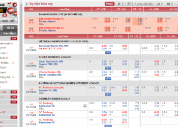 Hướng Dẫn Luật Cá Độ Bóng Đá Đơn Giản