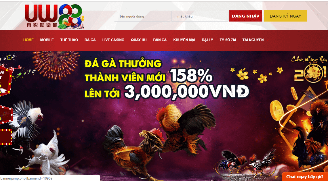 Cách Cá Độ Bóng Đá Trên Mạng Đơn Giản Nhất Hiện Nay