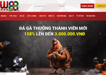 Link Vào Nhà Cái Ucw18/Ucw88 Không Bị Chặn Mới Nhất