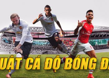 Luật cá độ bóng đá