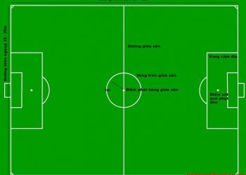 Quy chuẩn của kích thước sân bóng đá mini 5 người