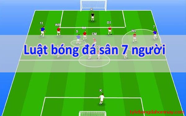 Luật bóng đá 7 người