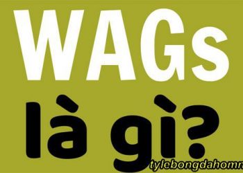 Wags là gì