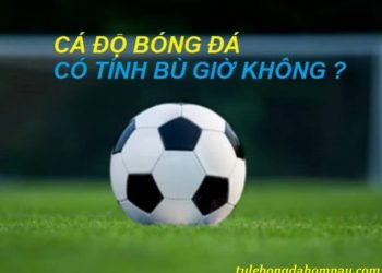 Cá cược bóng đá